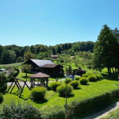 Flora Green House Beretinec