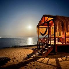 Sayal camp new