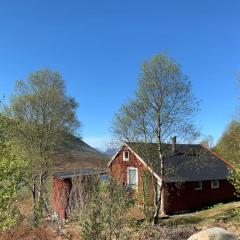 Peaceful cabin retreat in the Norwegian mountains