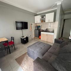 Mojo suites