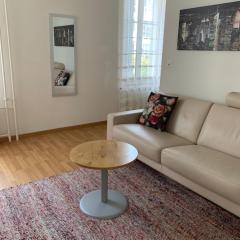 2 Zimmer Appartement mit eigenem Bad und Küche