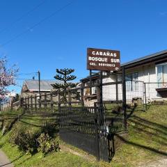 Cabañas Bosque Sur