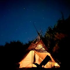 Tent in a Regenerative farm