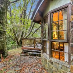 Beech - 2 Perrins Creek Rd Olinda