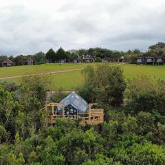 The Storm Hive - Misty Mountain Reserve