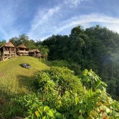 ORANG UTAN TREKING SUMATRA & LOVELY JUNGLE LODGE only book IF you are treking with us