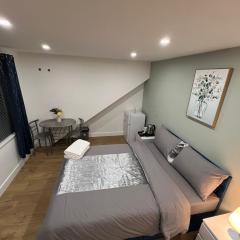 Modern Suite 1