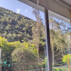 Mirador samsara Suite vista al bosque 25 mt2