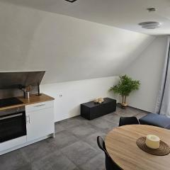 DG Apartment mit Neckarblick