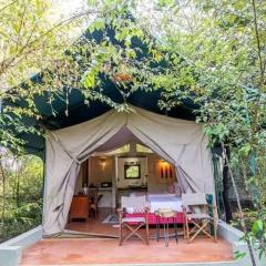 Giraff maasai mara home stay&safaris