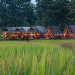 Paddy Fields Haven - Natures Nest