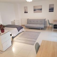 Cosy new Studio close to airport, UN, palexpo !