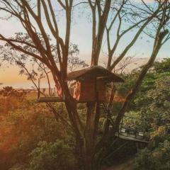 Oceanview Jungle tree house