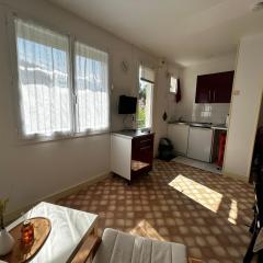 Studio proche centre-ville et Thermes, WIFI, parking - FR-1-541-121