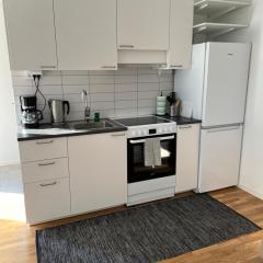 Beautiful apartment in Malmo close to everything