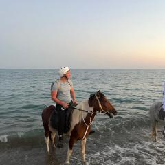 rodeo horse club