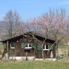 Chalet - Le Champ des Perches, Berlincourt