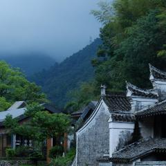 宁波栖霞山居丨森岛