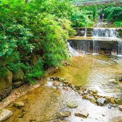 Goesan Jakeun Saejae Pension