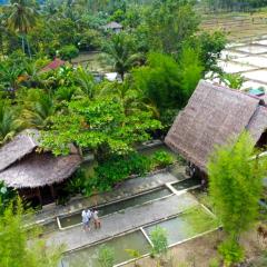 Tropical Jungle lodge & Jungle trekking