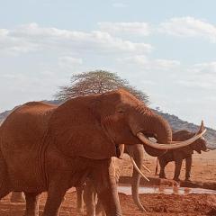 Tausa Tsavo Eco Lodge