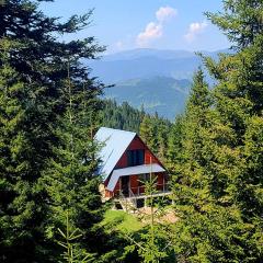 არწივის ბუდე eagle's nest