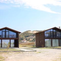 Posh villa 2