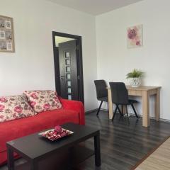 Mares Rentals Residence Magurele