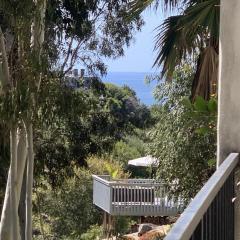 San Clemente Beach home walk to beach and downtown