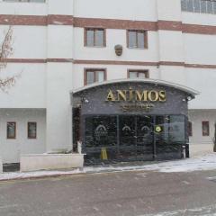 Animos Butik Otel