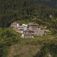 Grand Forest Metsovo - Small Luxury Hotels of the World