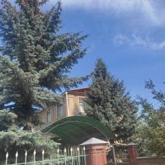 Green yard Guest house Barskoon