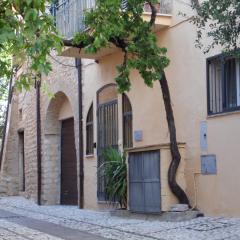 La vecchia vite casa vacanze