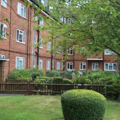 Wonderful Apartment in Wembley