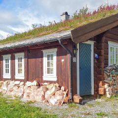 Amazing Home In Oppdal With Kitchen