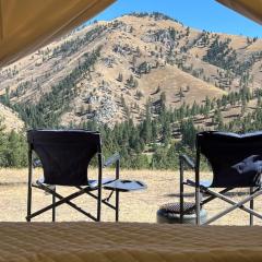 Tent 2 Oxen-Le-Fields Montana