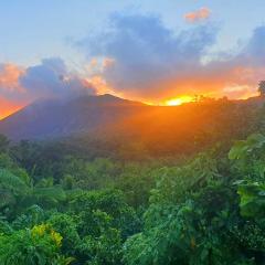 island paradise bungalows