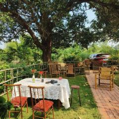 House of Aranya