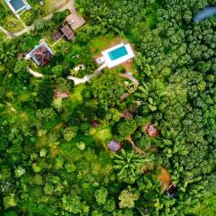 Misty Night Jungle Side Resort