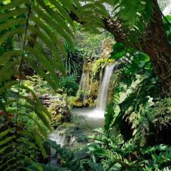 Natural Place