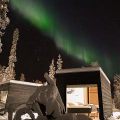 Vaattunki Wilderness Resort