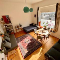 cosy apartment next to the heart of Nørrebro