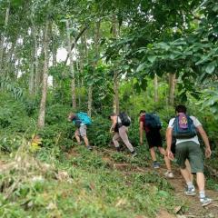 Bukit Lawang Backpacker JungleTrekking Only Booking with us