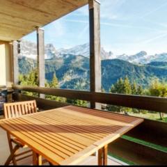 Appartement sur les pistes