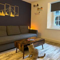 Entire Apartment in Dublin