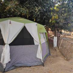 HAMPI CAMPING site