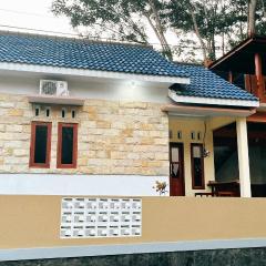 Ontoseno Villa