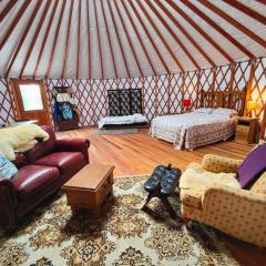 The Yurt at Ōraka