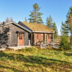 Lovely Home In Särna With Sauna