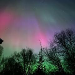 The Northern Lights Oasis